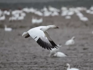 WordPress ile Sanal Mağaza Açarken Hızlı ve Kolay Entegrasyon Çözümleri