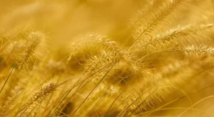 Tatilde Çekilen Fotoğrafları Daha Estetik Hale Getirmek İçin Kullanılabilecek İpuçları