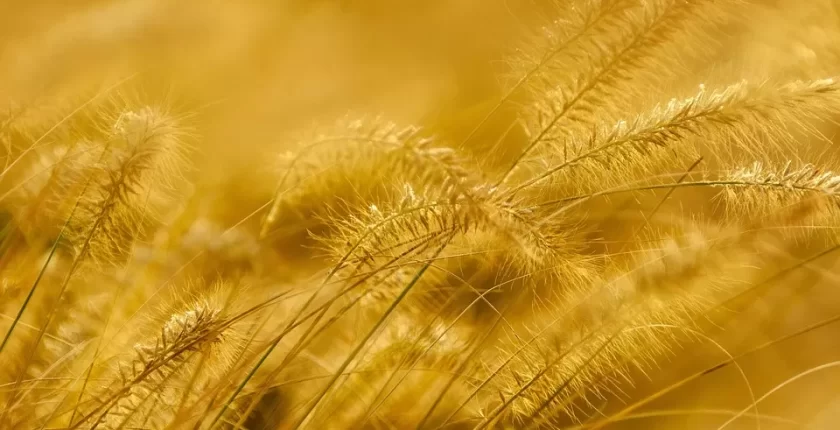 Tatilde Çekilen Fotoğrafları Daha Estetik Hale Getirmek İçin Kullanılabilecek İpuçları
