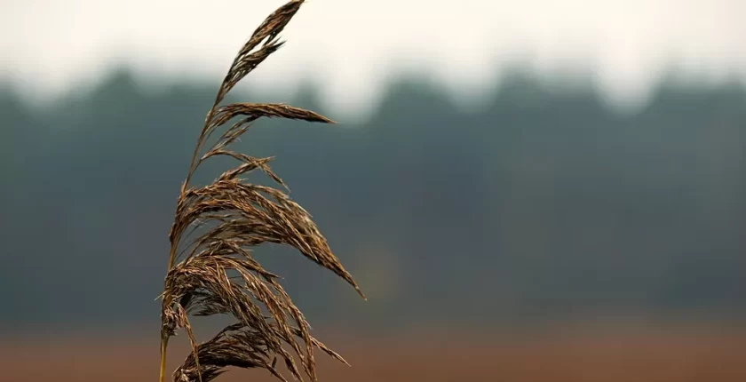 Avrupa’da Gezilecek En Romantik Şehirler ve Çiftler İçin Unutulmaz Anılar
