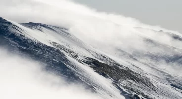 Popüler Kültür Trendleri ve İnsanların Sosyal Medyada En Çok Konuştukları Akımlar