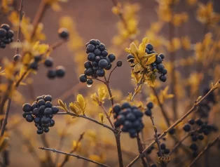 Son Dönemde Tüm Dünyada En Çok Konuşulan Diziler ve İzleyicilerden Gelen Yorumlar