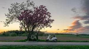 Blog veya Kurumsal Site Açarken WordPress mi Yoksa Farklı Platformlar mı Tercih Edilmeli?