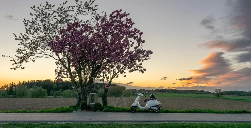 Blog veya Kurumsal Site Açarken WordPress mi Yoksa Farklı Platformlar mı Tercih Edilmeli?